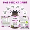 LEBER FORTE 2