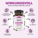 LEBER FORTE 3