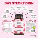 EISEN KOMPLEX 3