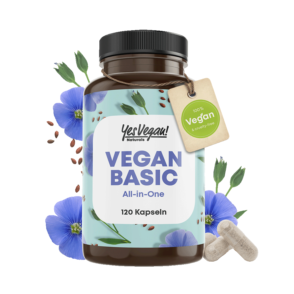 VEGAN BASIC 2