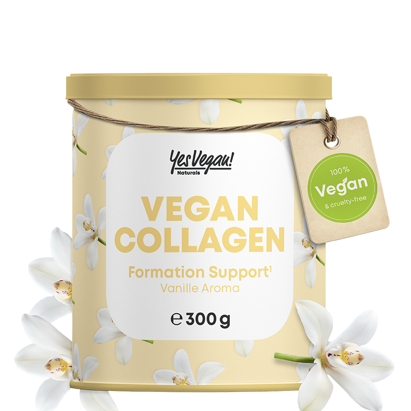 VEGAN COLLAGEN VANILLE AROMA inkl. kostenloser Shaker 2