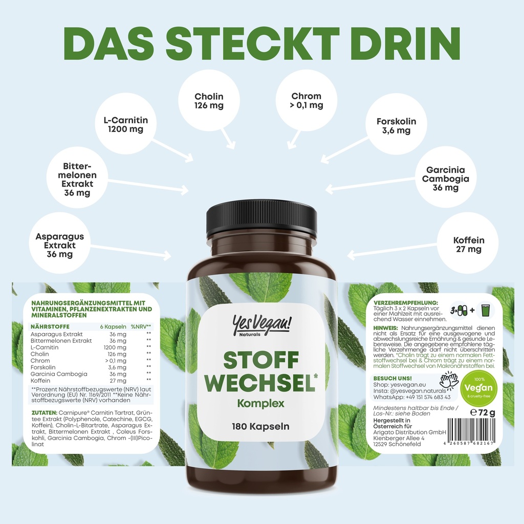 STOFFWECHSEL 2