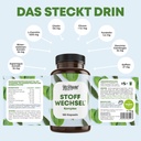STOFFWECHSEL 2
