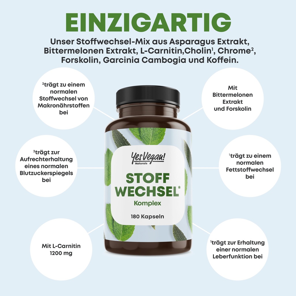 STOFFWECHSEL 3