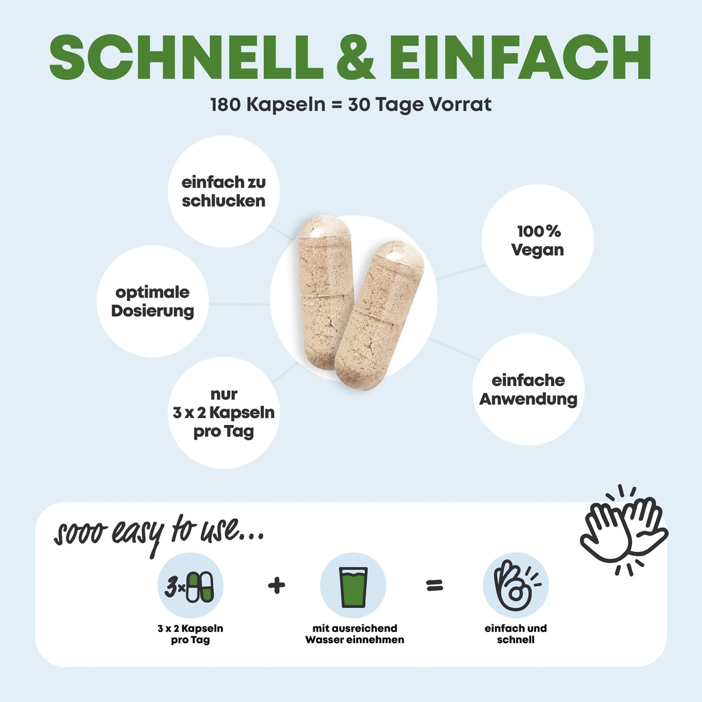 STOFFWECHSEL 4