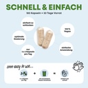 STOFFWECHSEL 4