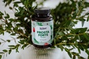 PROSTA FORTE 2