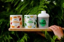 DAILY GREENS + SHAKER (Set)